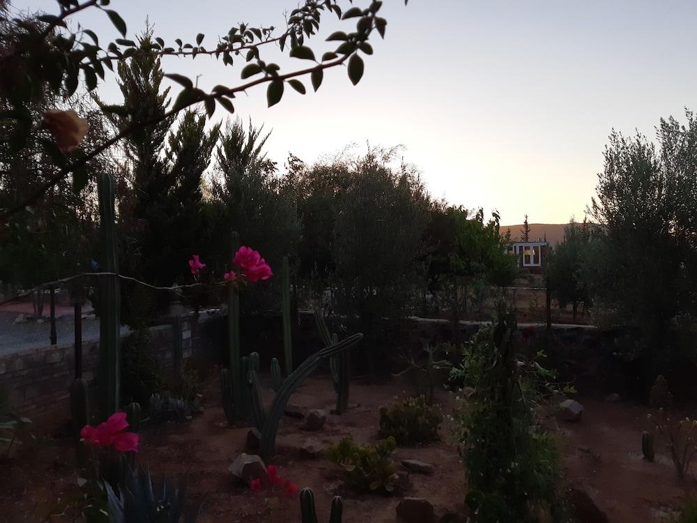 Hotel Meson Del Vino Valle de Guadalupe Ngoại thất bức ảnh