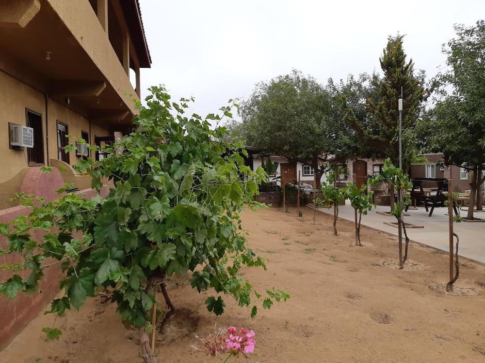 Hotel Meson Del Vino Valle de Guadalupe Ngoại thất bức ảnh