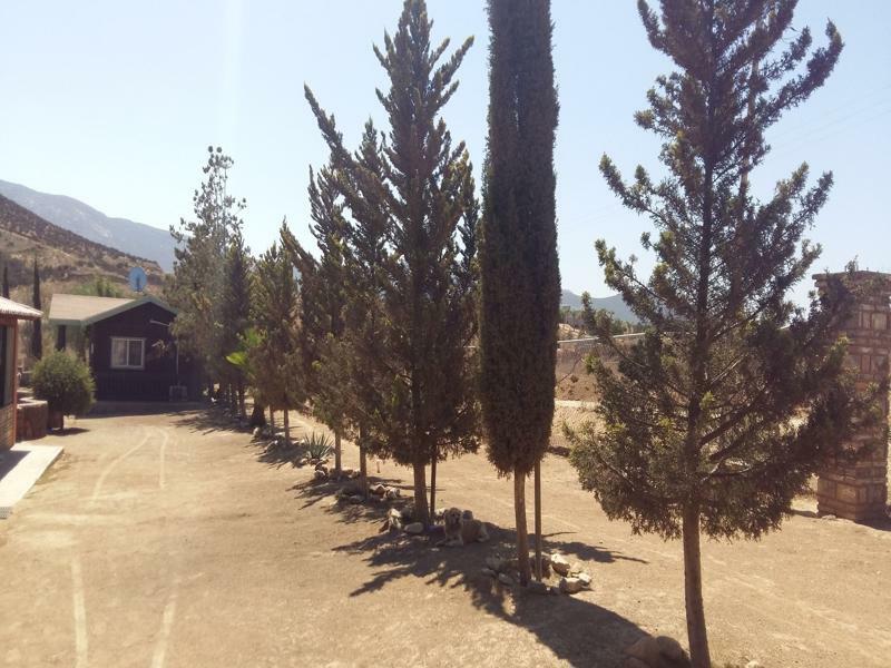 Hotel Meson Del Vino Valle de Guadalupe Ngoại thất bức ảnh