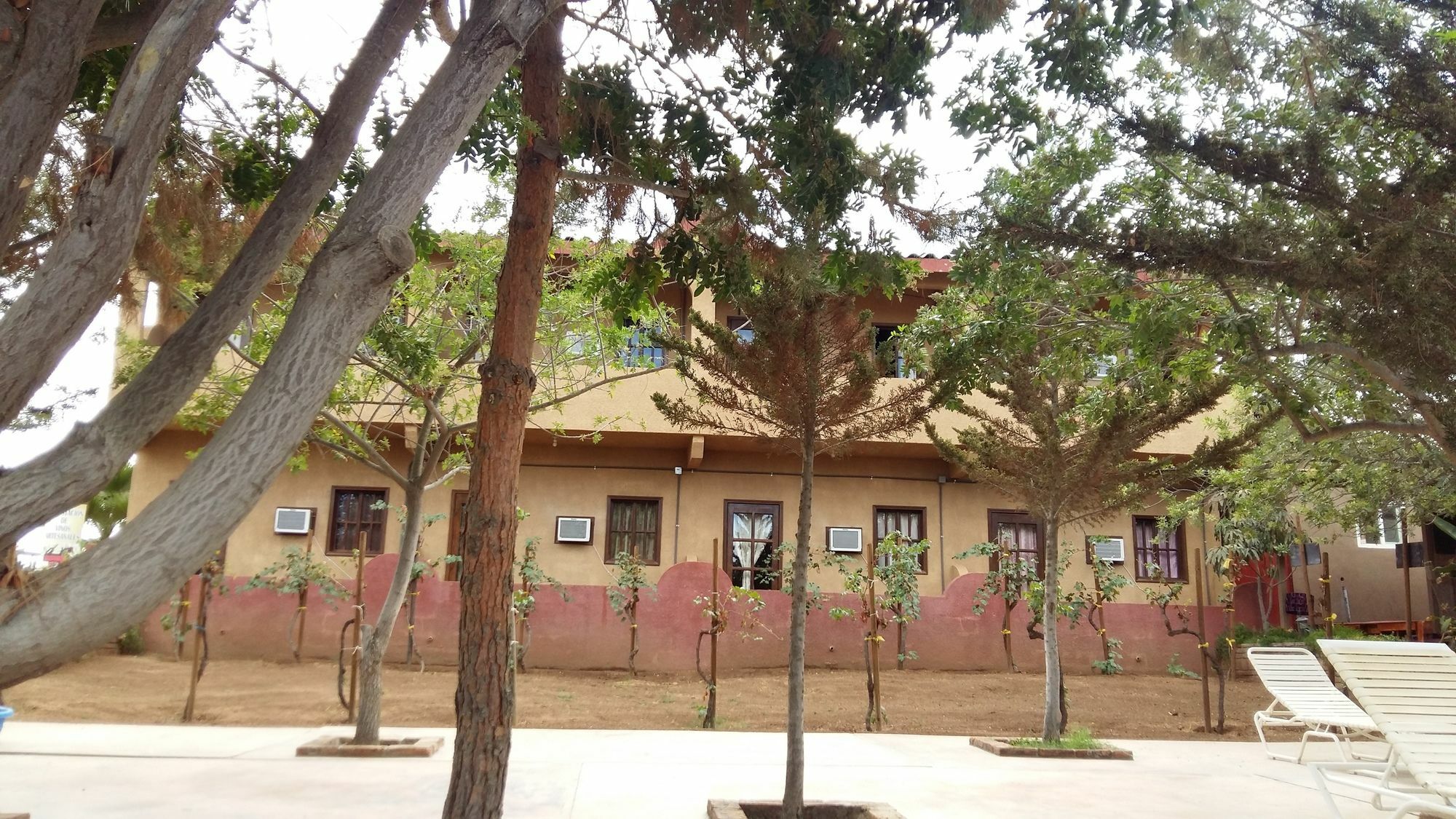 Hotel Meson Del Vino Valle de Guadalupe Ngoại thất bức ảnh