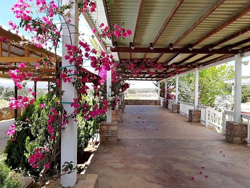 Hotel Meson Del Vino Valle de Guadalupe Ngoại thất bức ảnh