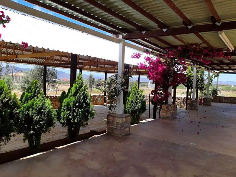 Hotel Meson Del Vino Valle de Guadalupe Ngoại thất bức ảnh